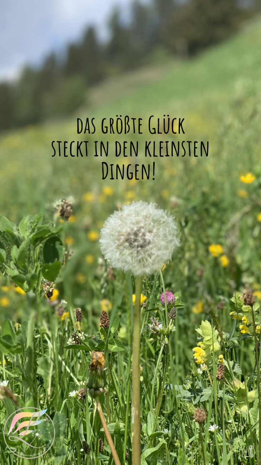 Das Größte Glück Steckt In Den Kleinsten Dingen Des Lebens Das größte Glück steckt in den kleinsten Dingen - Lern Leichtigkeit